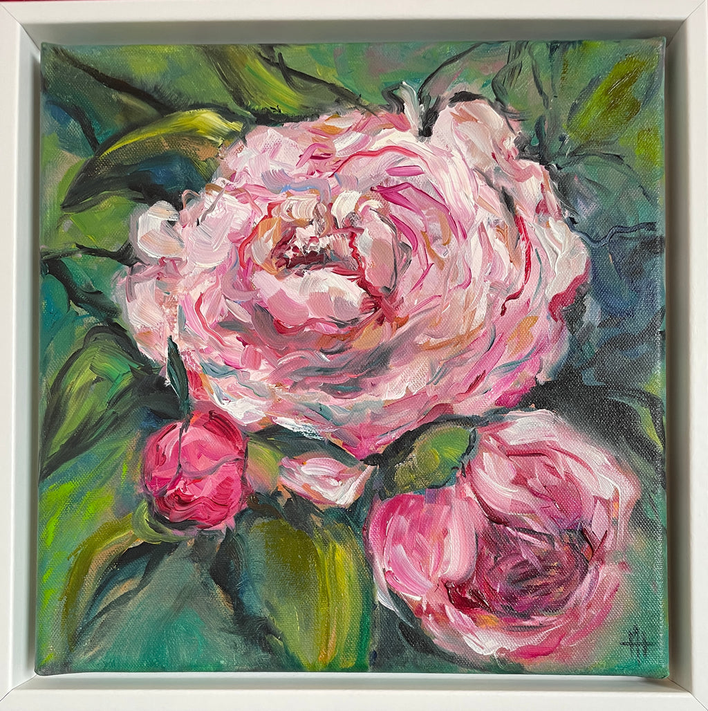 PENTECOST ROSE II