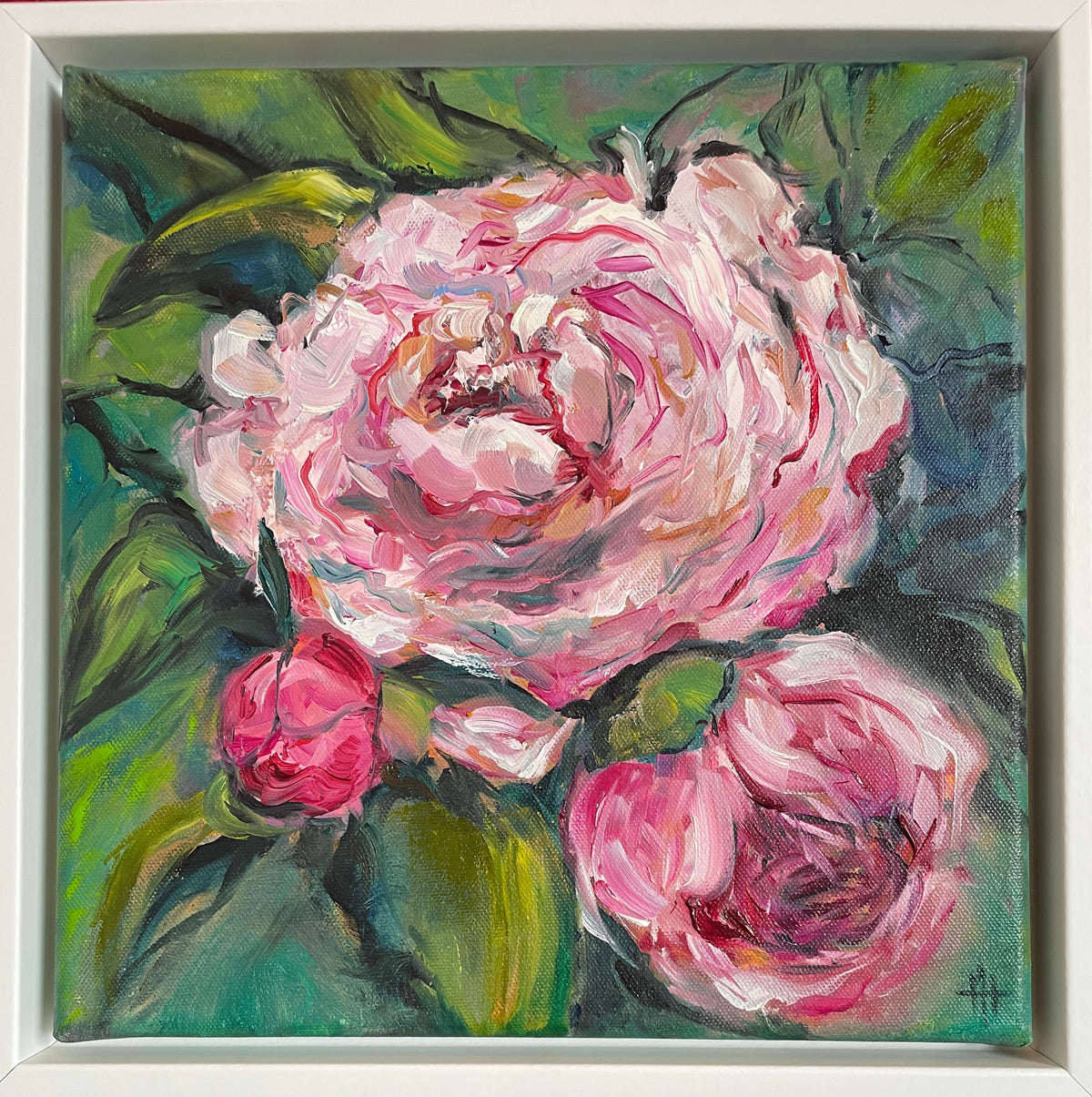 PENTECOST ROSE II